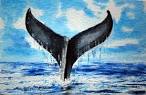 whales tail