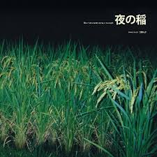 Maybe you would like to learn more about one of these? å·¥è—¤ç¤¼å­ Rice Field Silently Riping In The Night å¤œã®ç¨²