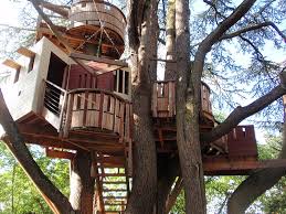 Tree House Wikipedia