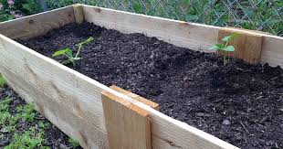 Make These Easy Diy Raised Beds With