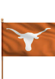 texas longhorns 3x5 orange sleeve