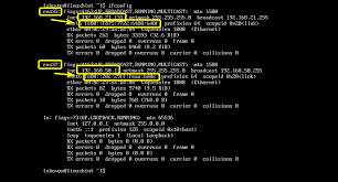 how to get ip address in linux