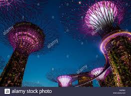 Singapore Feb 22 Supertrees In Gardens By The Bay In