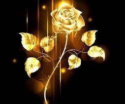 golden rose rose bonito flower