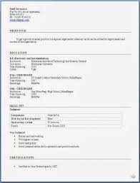 Sample resume for engineering freshers   Online Writing Lab Template net