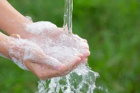 using liquid castile soap for body wash