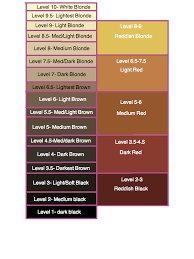 Level 3 Haircolor Wiki Fandom