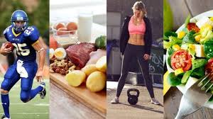 top sports nutrition courses