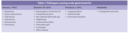 gastroenteritis management strategies