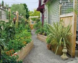 Raised Beds Lining A Narrow Area On The