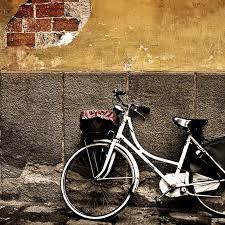 vine bike wallpapers