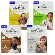 Sentinel For Dogs Fast Free Shipping 1800petmeds