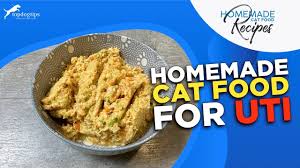 recipe homemade cat food for uti you