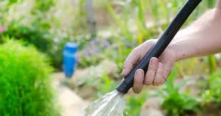 7 best garden hoses for 2022 a