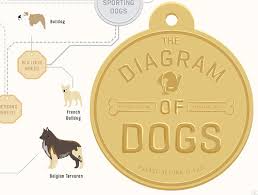 The Diagram Of Dogs A Dog Breed Infographic Poster By Pop