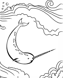 600 x 619 file type: Narwhal Coloring Pages Best Coloring Pages For Kids