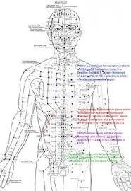 166 Best Acupuncture Resources Images Acupuncture