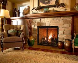 Gas Fireplace Inserts Traditional