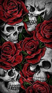 roses and skulls iphone wallpaper