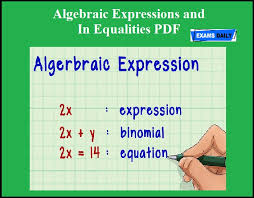 algebraic expressions and in equalities pdf