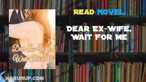 Dear ex wife wait for me novel