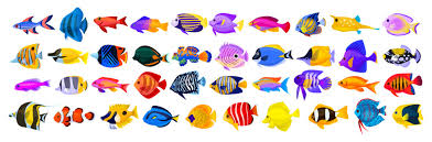cartoon fish images browse 533 942