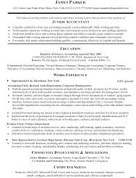 Resume Format For Accounting Clerk   Professional resumes sample     florais de bach info