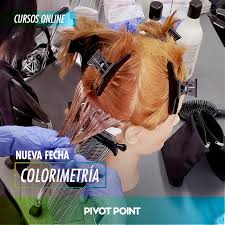 We did not find results for: Pivot Point Chile Photos Facebook