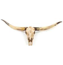 Texas Longhorn Steer Skull Rustic Lodge