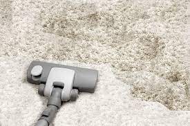 seminole florida chris carpet