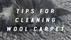 how to clean a wool carpet with quick