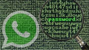 WhatsApp añade mensajes cifrados y más seguridad en Android | Tecnología -  ComputerHoy.com