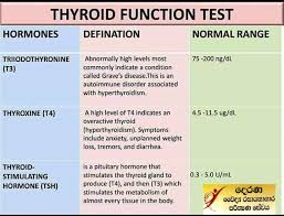 The normal level of tsh indicates the normal functioning of the thyroid gland, but cannot exclude the presence of inflammatory diseases of the thyroid gland. Facebook