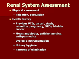 Test Bank for Medical Surgical Nursing Clinical Reasoning in Patient    