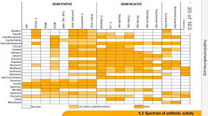 74 Actual Antibiotic Chart Sanford