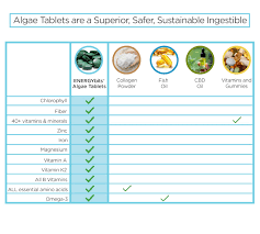 spirulina and chlorella algae nutrition