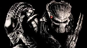 alien vs predator wallpapers