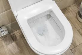 How To Fix A Running Toilet Homeserve Usa