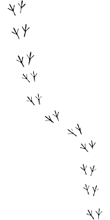 SVG > bird prints footprints tracks - Free SVG Image & Icon. | SVG Silh