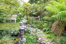 Small Oriental And Tropical Garden By