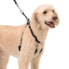 Best No Pull Dog Harness Review A Complete Guide 2019