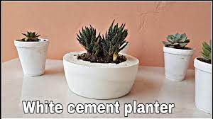 white cement planter for succulents