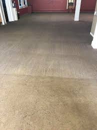 photo gallery dailey s carpet cleaning