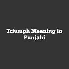 triumph meaning in punjabi meaning