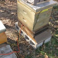 Honeybee Hive Monitoring Aday Io