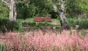 california botanic garden in claremont ca