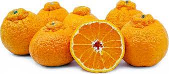 sumo citrus information and facts