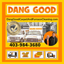 the best 10 carpet cleaning near ram