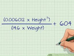 3 Ways To Calculate Blood Volume Wikihow