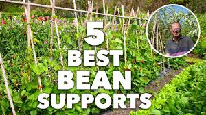 5 best bean poles frames and supports